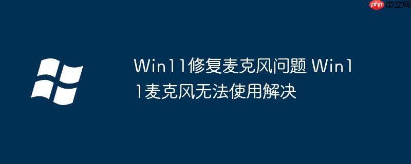 Win11修复麦克风问题 Win11麦克风无法使用解决