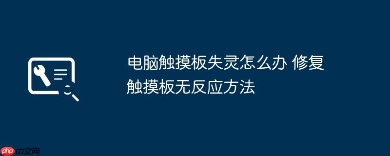 电脑触摸板失灵怎么办 修复触摸板无反应方法