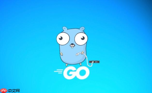 Golang中interface类型断言失败怎么处理