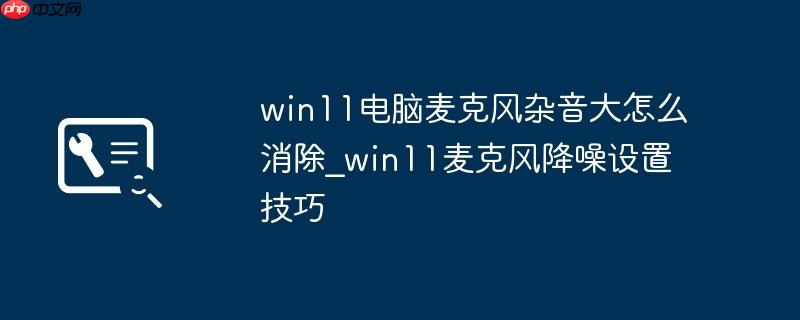 win11电脑麦克风杂音大怎么消除_win11麦克风降噪设置技巧