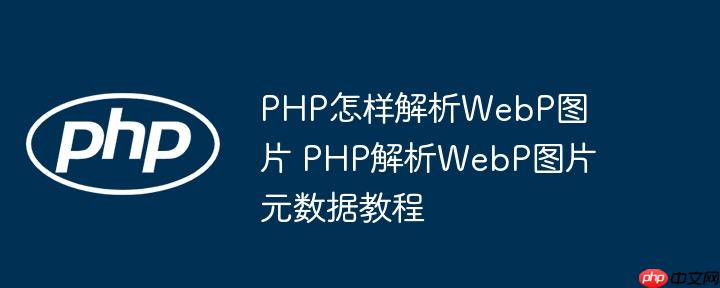 PHP怎样解析WebP图片 PHP解析WebP图片元数据教程