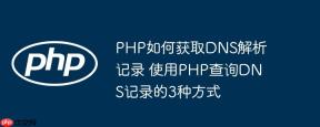 PHP如何获取DNS解析记录 使用PHP查询DNS记录的3种方式