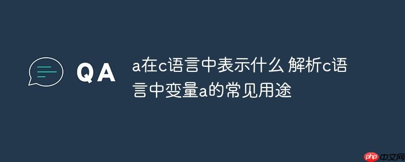 a在c语言中表示什么 解析c语言中变量a的常见用途