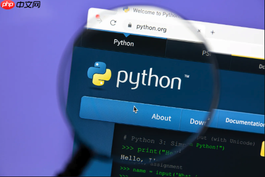 Python中如何使用正则表达式 文本匹配与提取的实战技巧