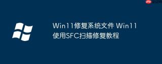 Win11修复系统文件 Win11使用SFC扫描修复教程