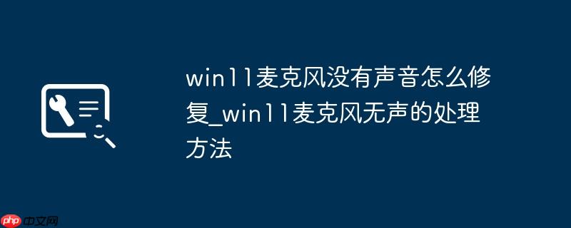win11麦克风没有声音怎么修复_win11麦克风无声的处理方法