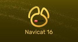 Navicat执行事务回滚出错事务回滚失败的日志分析与处理方案