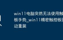 win11电脑突然无法使用触控板手势_win11精密触控板驱动重装