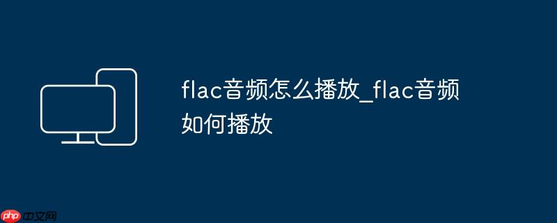 flac音频怎么播放_flac音频如何播放