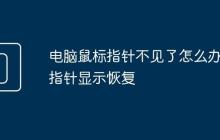 电脑鼠标指针不见了怎么办 指针显示恢复