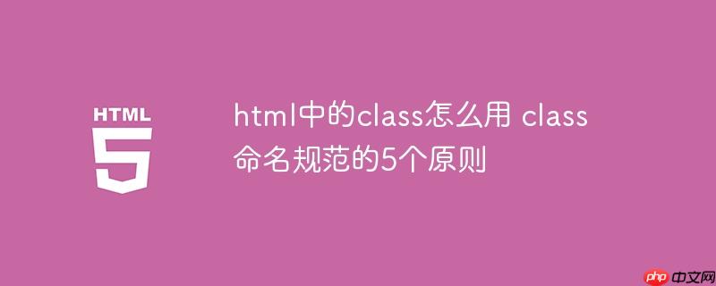 html中的class怎么用 class命名规范的5个原则