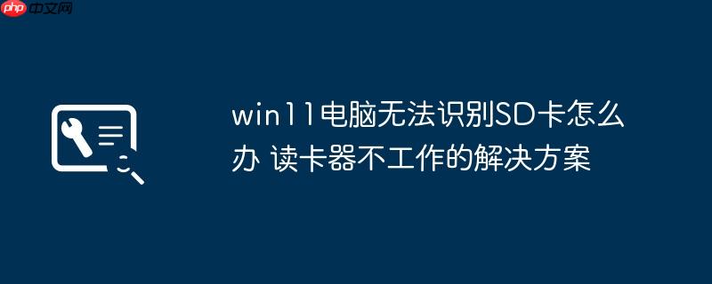 win11电脑无法识别SD卡怎么办 读卡器不工作的解决方案