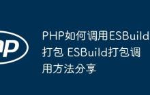 PHP如何調(diào)用ESBuild打包 ESBuild打包調(diào)用方法分享