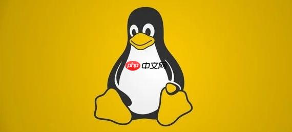 如何在Linux中删除空目录 rmdir命令快速清理空目录操作
