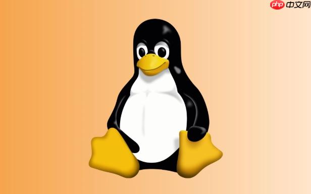 如何在Linux终端查看IP地址 简单几步获取本机IP地址信息
