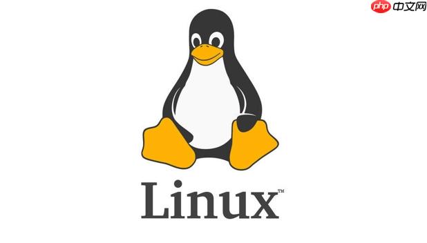 如何在Linux中终止指定进程 kill命令精准结束进程操作指南