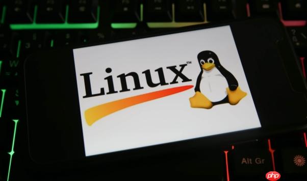 如何在Linux中终止指定进程 kill命令精准结束进程操作指南