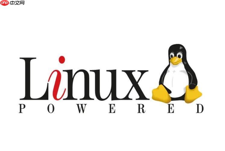 修复Linux服务器\