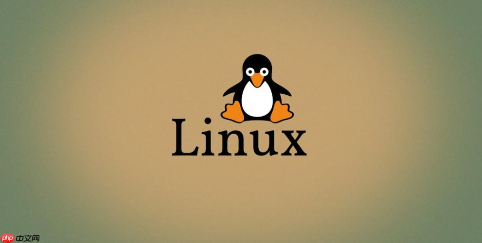 排查Linux系统\