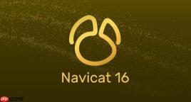 Navicat表数据无法修改表数据只读状态的解锁与编辑方法
