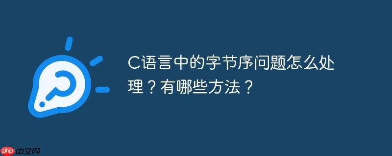 C语言中的字节序问题怎么处理？有哪些方法？