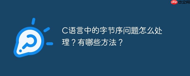 C语言中的字节序问题怎么处理?有哪些方法?