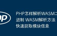 PHP怎樣解析WASM二進(jìn)制 WASM解析方法快速獲取模塊信息