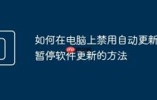 如何在电脑上禁用自动更新 暂停软件更新的方法