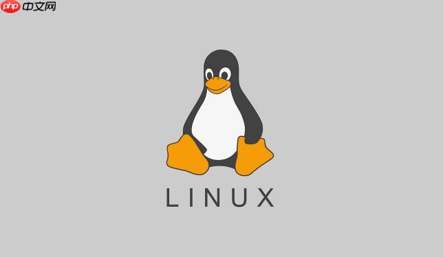 如何在Linux中搜索指定文件 find命令高效查找文件技巧分享