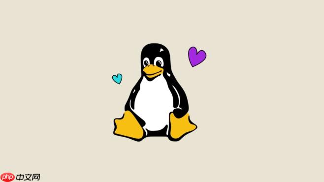 如何在Linux中搜索指定文件 find命令高效查找文件技巧分享