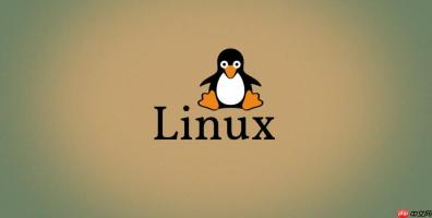 如何解决Linux命令\