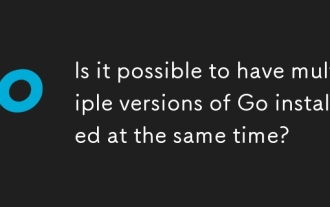 Is it possible to have multiple versions of Go installed at the same time?