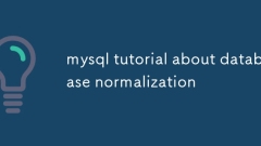 ?????? ???? ?? MySQL ???