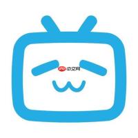 B站怎么清理缓存 释放存储空间的详细操作