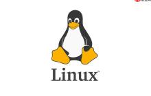 排查Linux網(wǎng)絡(luò)"No buffer space available"問題的指南