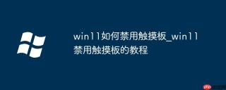 win11如何禁用触摸板_win11禁用触摸板的教程