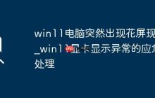 win11電腦突然出現(xiàn)花屏現(xiàn)象_win11顯卡顯示異常的應(yīng)急處理