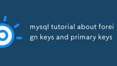 ?? ? ? ?? ?? ?? MySQL ????