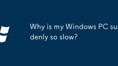 ? ? Windows PC? ??? ??? ?????