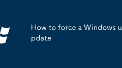 Cara memaksa kemas kini Windows