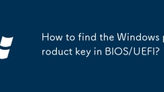Wie finde ich den Windows -Produktschlüssel in BIOS/UEFI?