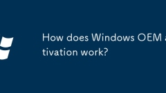 Wie funktioniert Windows OEM -Aktivierung?
