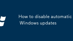 How to disable automatic Windows updates