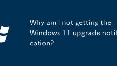 Warum bekomme ich die Windows 11 -Upgrade -Benachrichtigung nicht?