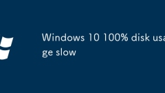 Windows 10 100% Festplattennutzung langsam