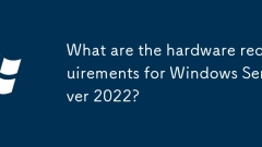 Was sind die Hardwareanforderungen für Windows Server 2022?