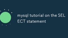 Tutoriel MySQL sur l'instruction SELECT