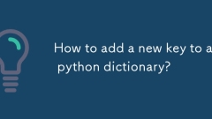 Wie füge ich einem Python -Wörterbuch einen neuen Schlüssel hinzu?
