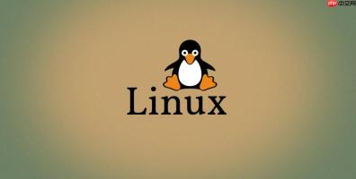 如何解决Linux系统