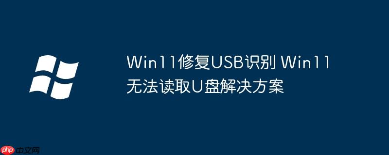 Win11修复USB识别 Win11无法读取U盘解决方案